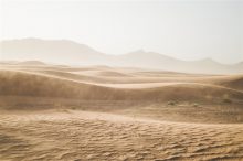 科学家提出撒哈拉沙漠改造工程：变降雨充沛的绿洲-微世界