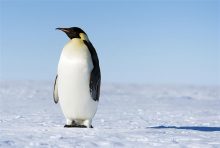 Linux统计：近2万名作者 代码数超2500万行-微世界