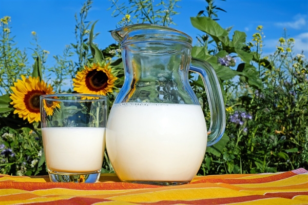 美国一公司利用酵母菌生产出人造奶